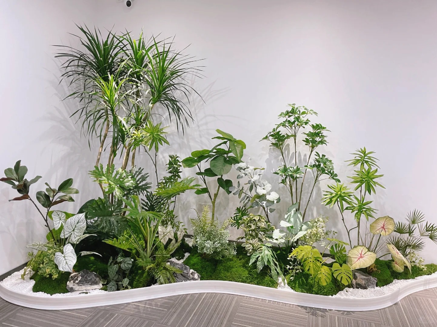 了解宁波江北花卉出租方案,超有料!